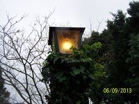 Faith Mudge