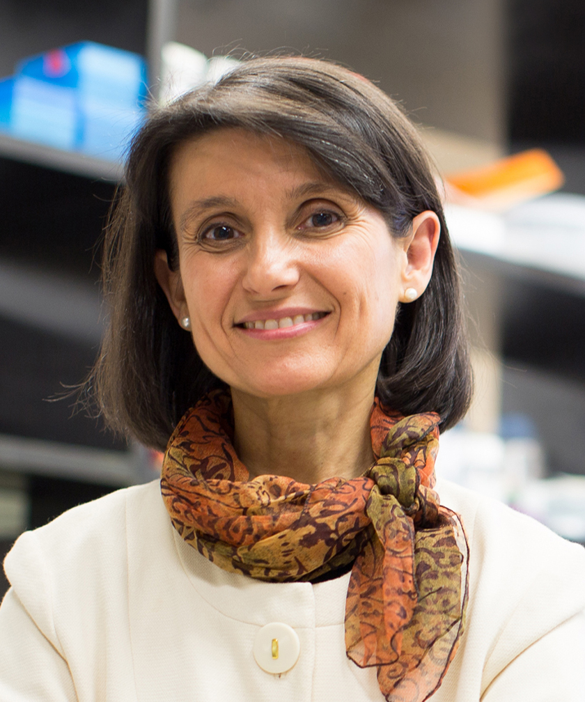 Maria J. Pérez Cuervo