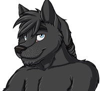 Tristan Black Wolf