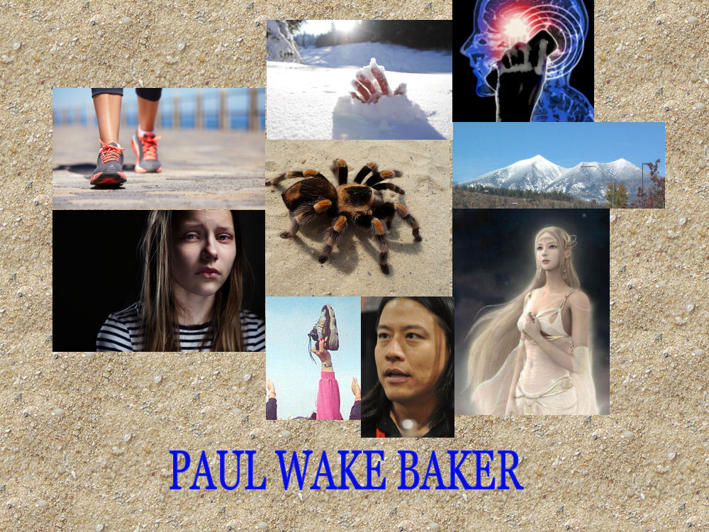 Paul Wake